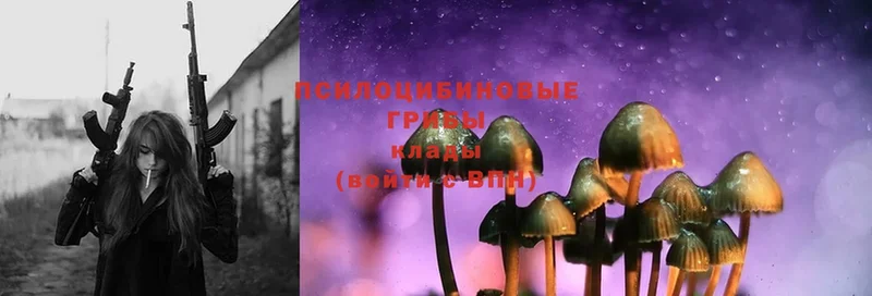 площадка телеграм  Новотроицк  Галлюциногенные грибы MAGIC MUSHROOMS 